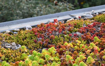 the cost of Paddock green roof installation