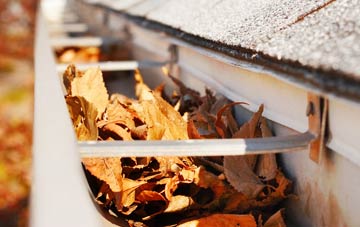 Paddock gutter cleaning companies