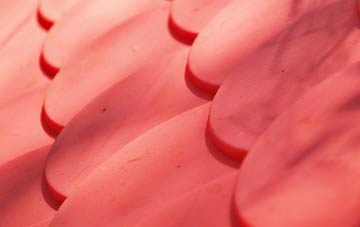 Paddock plastic roof costs