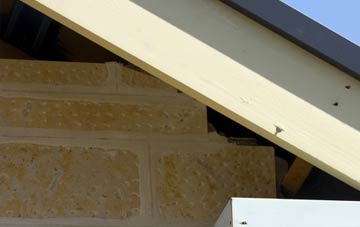 soffit repair Paddock