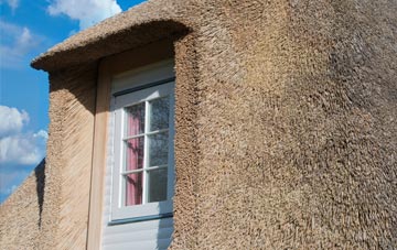 Paddock thatch roof disadvantages