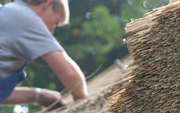 professional Paddock thatchers